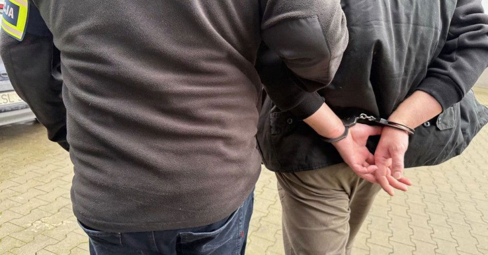 zdjęcie: Mężczyzna zatrzymany po włamaniu do piwnicy w Darłowie / fot. KPP w Sławnie