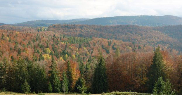 Świętokrzyski Park Narodowy zostanie powiększony, a Łysiec wróci w granice parku