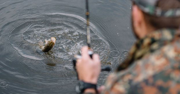Zakaz połowu ryb w Odrze wydany w związku z sytuacją powodziową