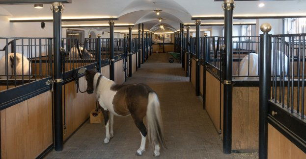 Straż pożarna ugasiła pożar stajni