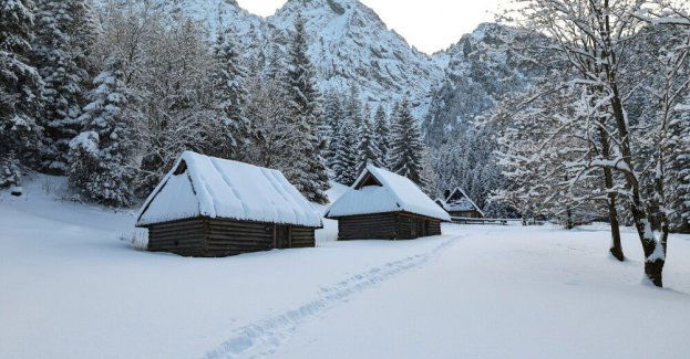 IMGW: najbliższe noce mroźne; w górach temperatura do minus 20 st. C
