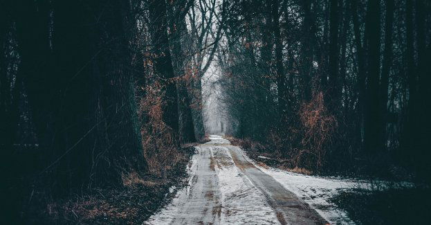 19-latka urodziła w lesie, sprawą zajęła się prokuratura