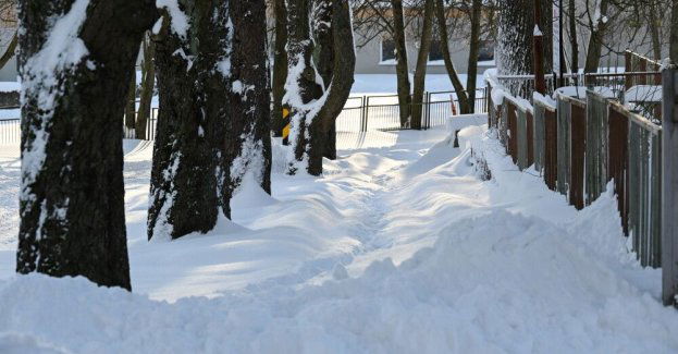Wojewoda lubelski: od czwartku do soboty spodziewane mrozy do minus 20-25 st. C w nocy