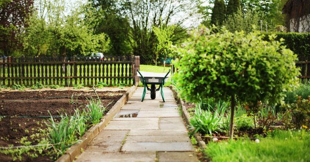 Wiosenne porządki w ogródkach