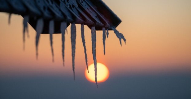Zima nie odpuszcza, Polaków czeka mroźna noc: od minus 25 do minus 8 stopni Celsjusza