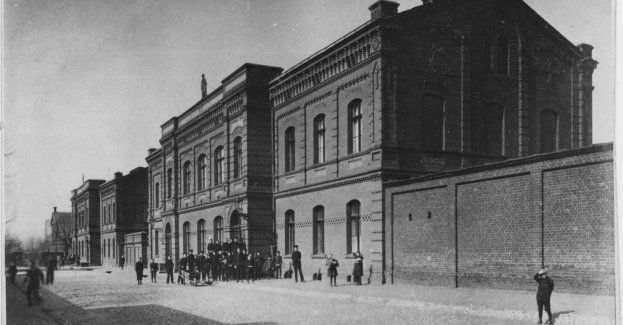 Zielona Łódź zaprasza na spacer