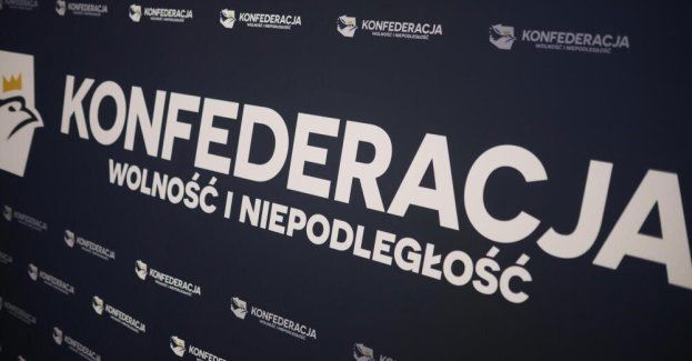 SN oddalił skargę Konfederacji na decyzję PKW o odrzuceniu sprawozdania z wyborów do PE