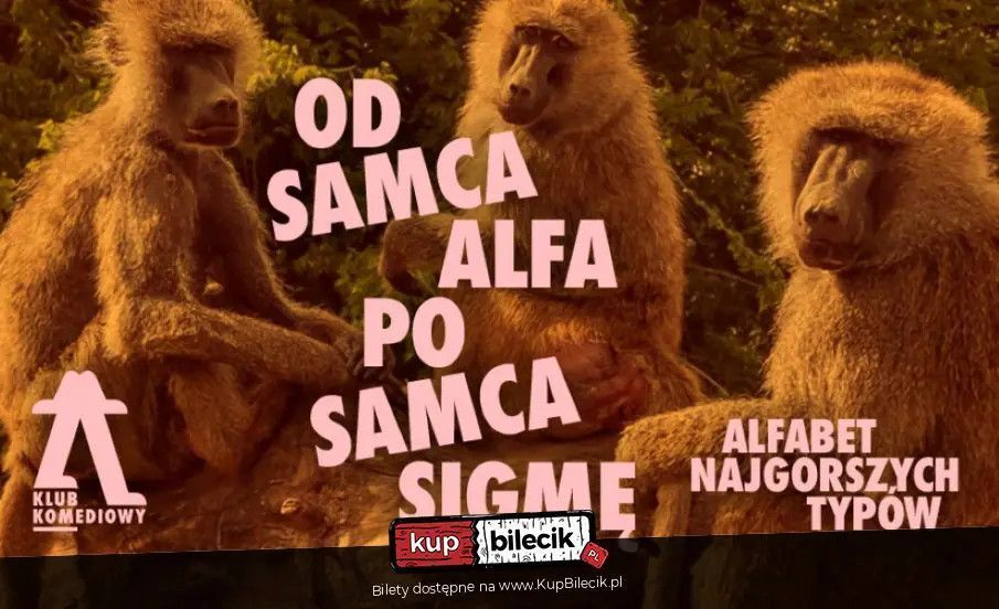 zdjęcie: Od Samca Alfa po Samca Sigmę: alfabet najgorszych typów - spektakl impro / kupbilecik24.pl / Od Samca Alfa po Samca Sigmę: alfabet najgorszych typów - spektakl impro