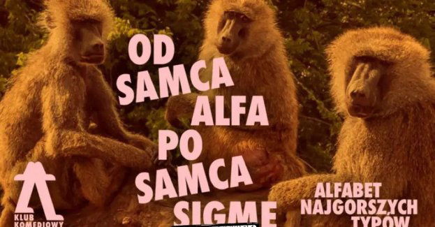 Od Samca Alfa po Samca Sigmę: alfabet najgorszych typów - spektakl impro