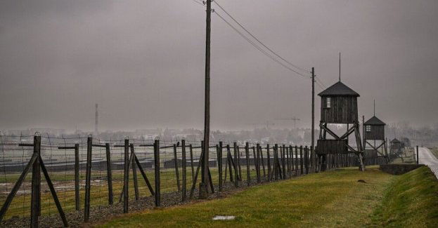 Muzeum na Majdanku: na niemieckiej aukcji ponad 20 artefaktów dot. więźniów obozu na Majdanku