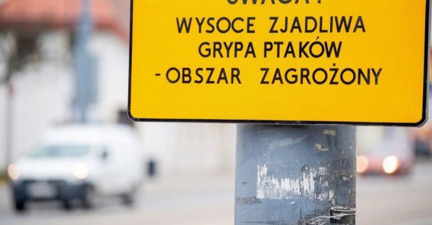 W 2025 r. wykryto 81 ognisk grypy ptaków