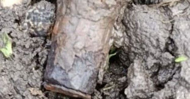 Niewybuch z II wojny znaleziony na polu przy Chełmskiej