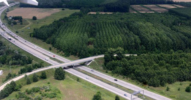 Powstała 4,5-kilometrowa obwodnica Urzędowa