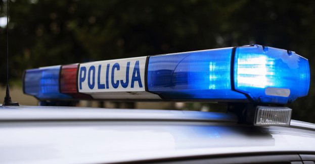 Śmiertelny wypadek z udziałem psa