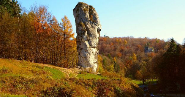 Szlaki turystyczne w Ojcowskim Parku Narodowym zamknięte przez oblodzenie