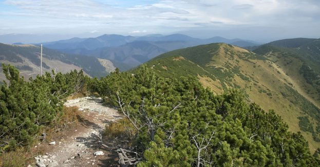 Tragiczny weekend w Tatrach; śmierć trojga polskich turystów po słowackiej stronie (korekta)