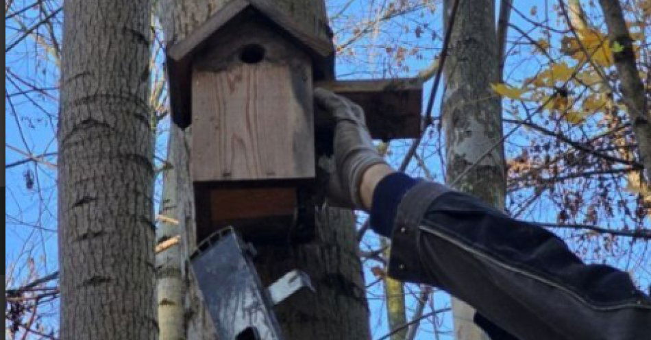 zdjęcie: Ptasi porządek i naukowa ciekawość. Wrocław przygotowuje budki lęgowe na nowy sezon / fot. nadesłane