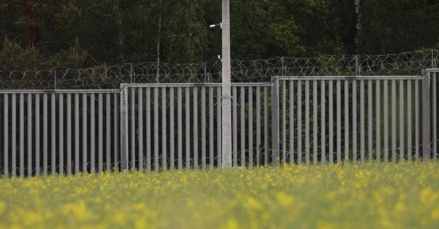 W ostatnich dwóch dniach ponad 300 prób nielegalnego przekroczenia polsko-białoruskiej granicy