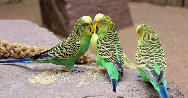 Marta Zając-Ossowska wygrała konkurs na dyrektora generalnego wrocławskiego Zoo