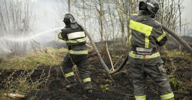 Dwie nastolatki spowodowały pożar traw; konieczna była ewakuacja