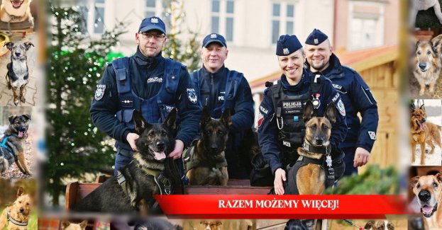 Karma zamiast fajerwerków. Policjanci wspierają schronisko