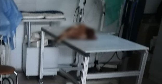 Odpowie za znęcania się nad kurą ze szczególnym okrucieństwem