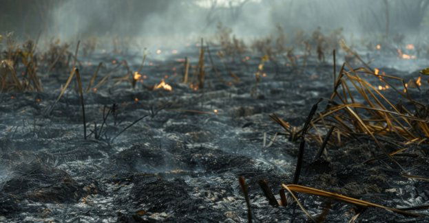 78-latek pierwszą ofiarą śmiertelną pożarów traw w tym roku