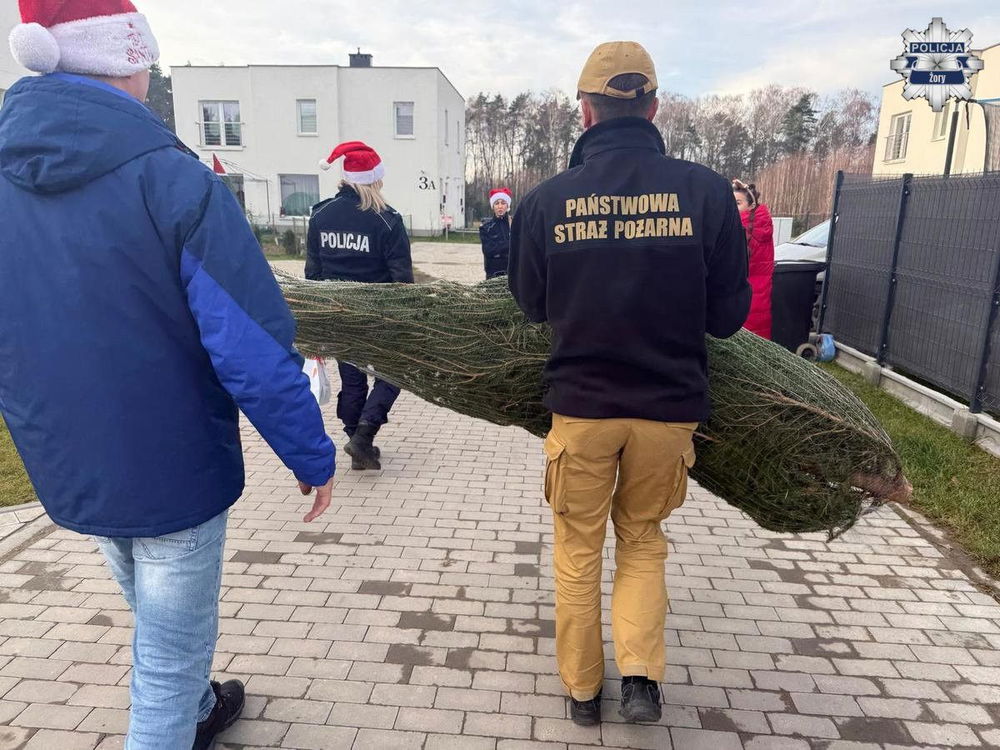 zdjęcie: Choinka dla najuboższych w Żorach rozświetliła święta / fot. KMP w Żorach