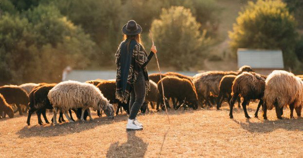 Rekordowe zainteresowanie kursem na juhasów i baców; zgłoszenia z całej Polski