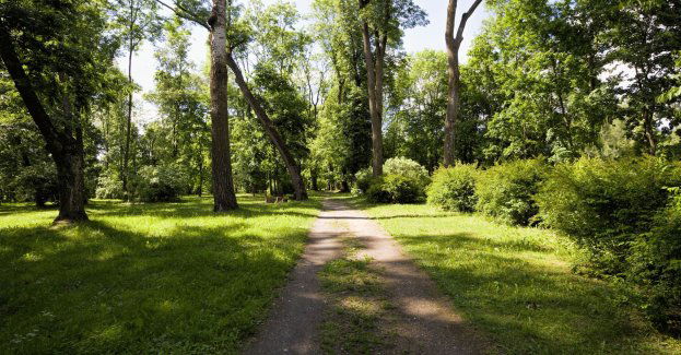 Zmarła 24-latka zaatakowana w parku Glazja przez obcokrajowca