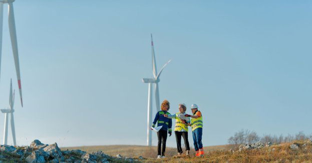 Tauron kupił spółkę z prawami do farmy wiatrowej 190 MW w Miejskiej Górce