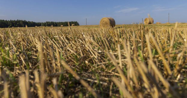 Wielkopolska Rada Rolnicza apeluje o niewzywanie policji z powodu nocnych prac przy żniwach