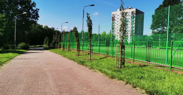 Kolejne miejsca w Katowicach zmienione przez Zielony Budżet