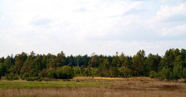 Park Narodowy Doliny Dolnej Odry nie powstanie bez zgody lokalnych samorządów
