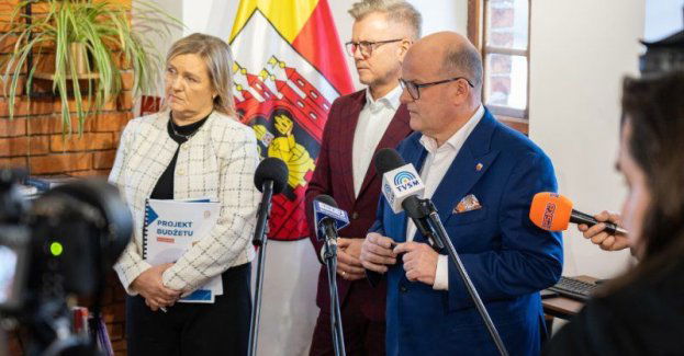 Projekt budżetu miasta na 2025 rok