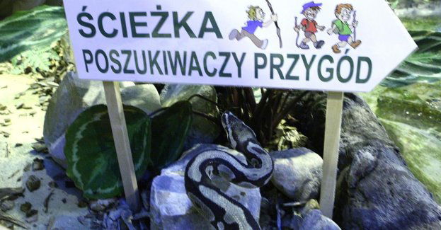 Jedyna „Zoonoooc” w Polsce - zgłosiło się prawie tysiąc osób
