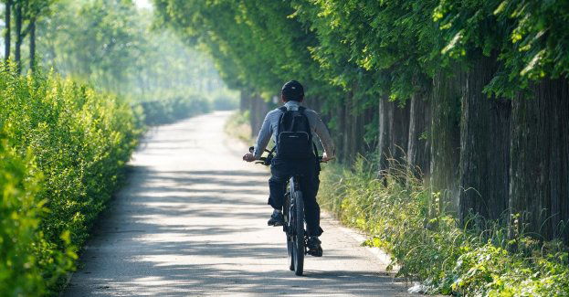 Rowerowe szlaki w wojewódzkich rezerwatach dostępne na długi weekend