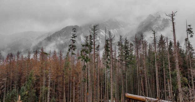 TPN wstrzymuje sprzedaż biletów z uwagi na huraganowy wiatr
