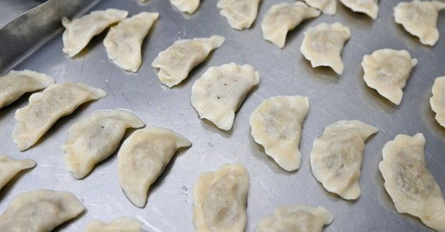 Liofilizowane pierogi na orbicie; tradycyjna polska potrawa trafi na ISS