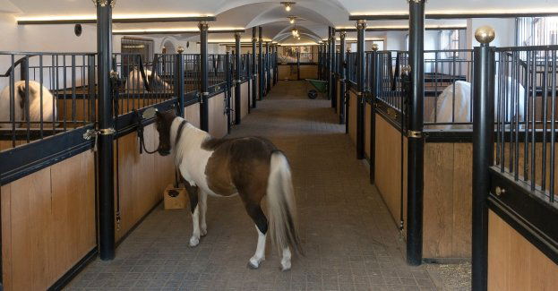 Rozpoczął się proces uzdrawiania sytuacji w stadninach