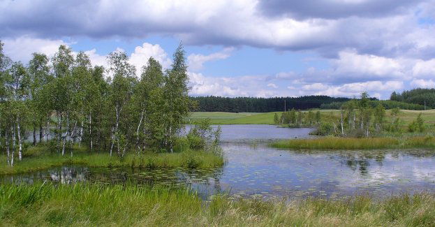 Dzień Jedności Kaszubów