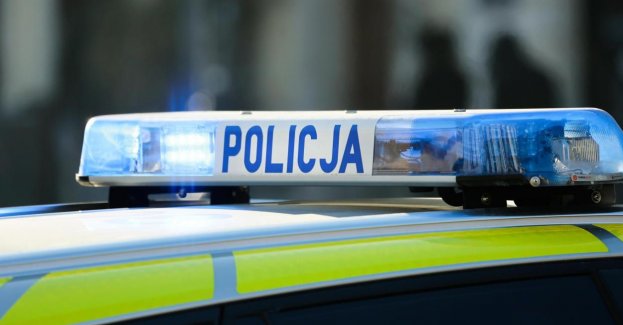 Policja rozbiła gang sutenerów