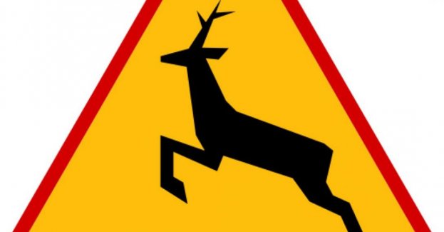 Uwaga na leśne zwierzęta na drodze
