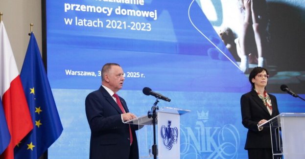 Funkcjonujące rozwiązania nie są wystarczające do przeciwdziałania przemocy domowej
