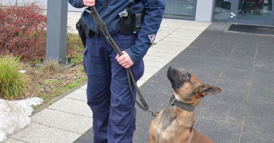 zdjęcie: Policjanci uratowali 91 letnią mieszkankę Osowej / fot. KMP w Gdańsku