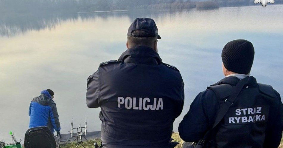 zdjęcie: Mysłowice kontrolują sprzedaż karpi przed świętami / fot. KMP w Mysłowicach