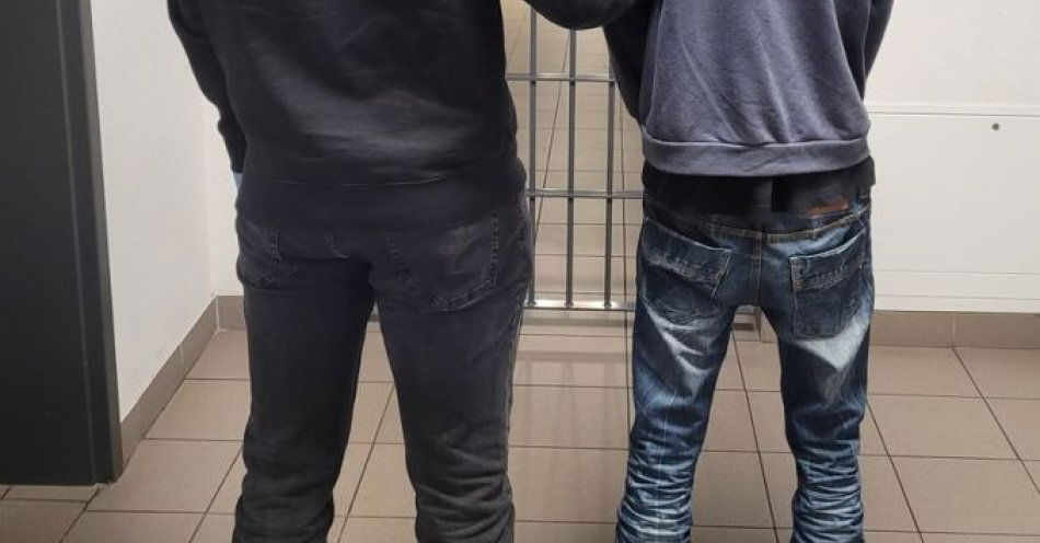 zdjęcie: Bielska policja zatrzymała kierowcę z czterema zakazami / fot. KMP w Bielsku-Białej