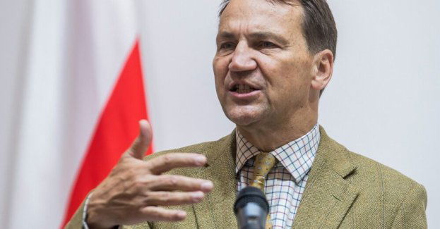 Szef MSZ: polscy obywatele zatrzymani w Izraelu powinni w najbliższych dniach wrócić do kraju