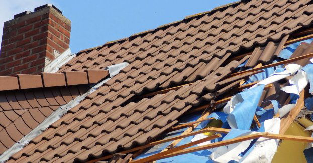 Uszkodzone dachy, powalone drzewa; 54 interwencje strażaków w związku z silnym wiatrem w regionie