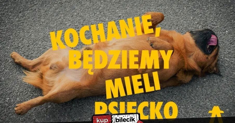 zdjęcie: Kochanie, będziemy mieli psiecko - spektakl impro / kupbilecik24.pl / Kochanie, będziemy mieli psiecko - spektakl impro